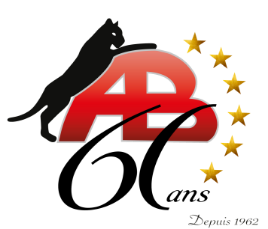 Nous Joindre - Pavage et Aménagement Paysager Antonio Borsellino